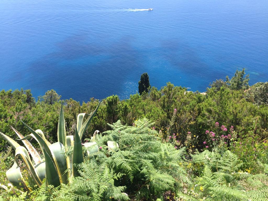 Il Casale Del Giglio Bed & Breakfast Santo Stefano di Magra Luaran gambar